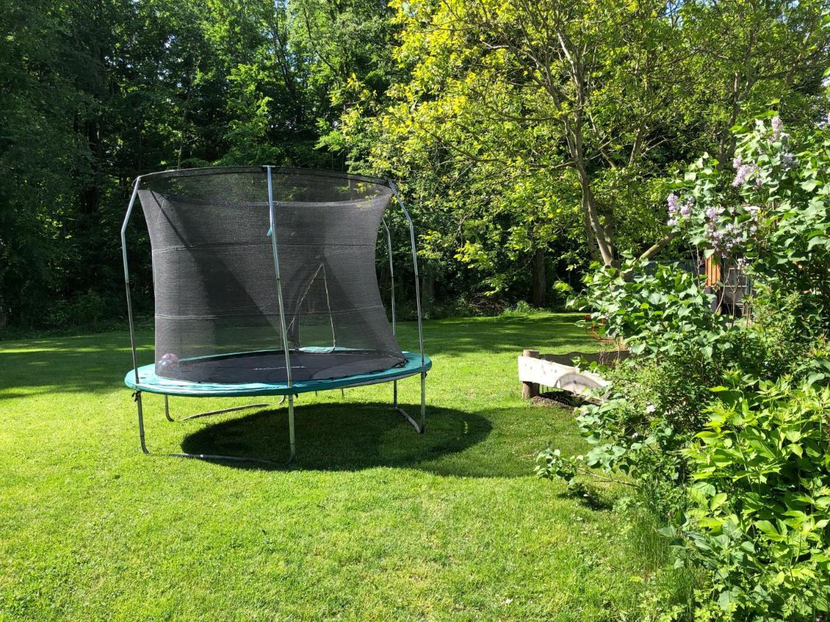 Ferienwohnung Am Waldrand Mit Sauna Biendorf Ngoại thất bức ảnh